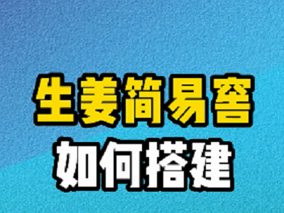 生姜簡(jiǎn)易窖如何搭建？ ()