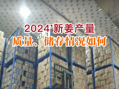 2024'新姜產(chǎn)量、質(zhì)量、儲存情況如何？ (158播放)