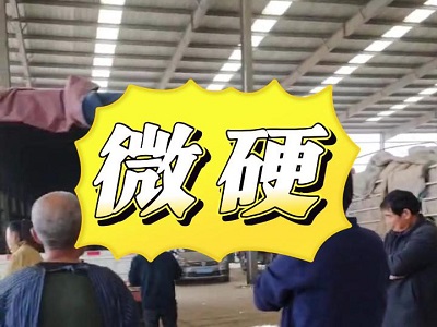 11月13日 安丘黑埠子（微硬） (161播放)
