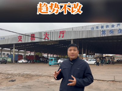 11月14日 安丘黑埠子（趨勢不改） (173播放)