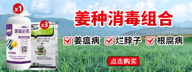 姜種消毒組合