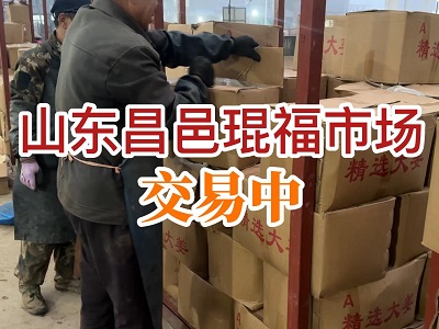 山東昌邑大姜市場交易中 (195播放)