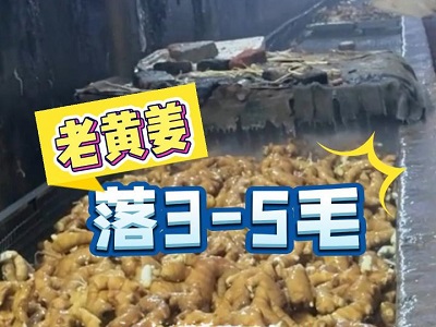 11月16日 生姜價(jià)格行情（老黃姜落3-5毛） ()