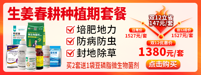 生姜春耕種植期套餐640-240