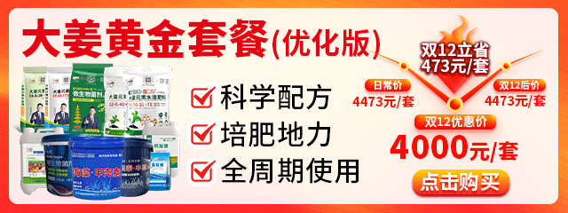 大姜黃金套餐(優化版)640-240