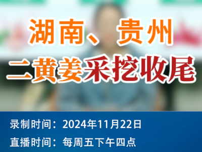農情漫談：湖南、貴州二黃姜采挖收尾 (188播放)
