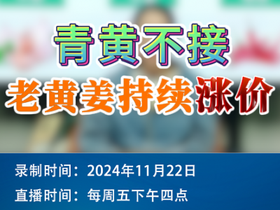 農情漫談：青黃不接，老黃姜持續漲價！ ()