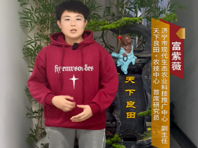 第二屆中姜網姜農大會報名啦！ ()