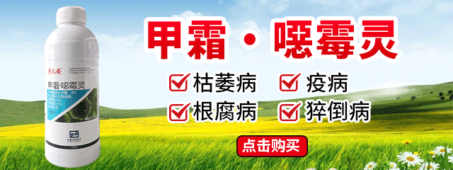 甲霜·惡霉靈