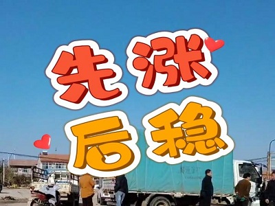 11月23日 安丘黑埠子（先漲后穩） ()