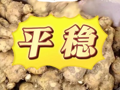11月25日 安丘黑埠子（平穩） ()