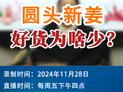 農情漫談：圓頭新姜好貨為啥少？ ()