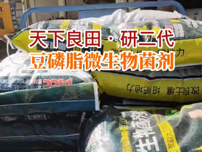 湖南姜友團購10噸豆磷脂微生物菌劑送貨到家 ()