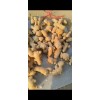 大黃姜，新圓頭，姜母