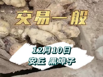 12月10日 安丘黑埠子（交易一般） ()