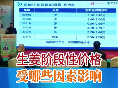 生姜階段性價格受哪些因素影響 ()