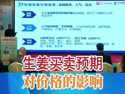 生姜買賣預期對價格的影響 ()