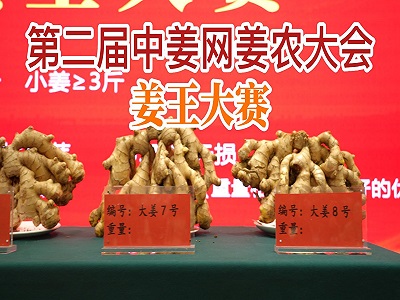 第二屆中姜網(wǎng)姜農(nóng)大會--姜王大賽 ()