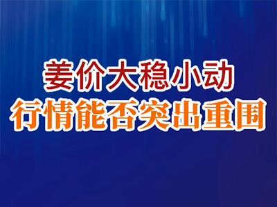 老石說姜：姜價大穩小動 行情能否突出重圍？ ()