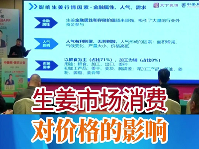 生姜市場消費對價格的影響 ()
