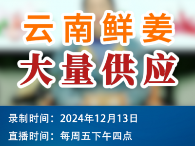 農情漫談：云南鮮姜大量供應 (155播放)
