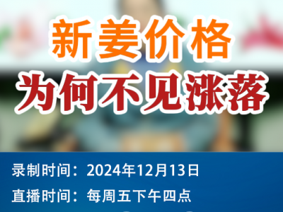 農情漫談：新姜價格為何不見漲落？ ()