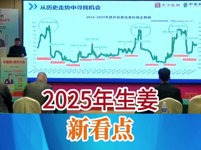 2025年生姜新看點 ()