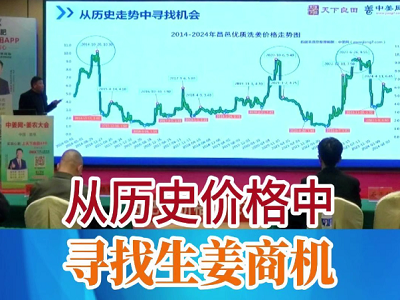 從歷史價格中尋找生姜商機 ()
