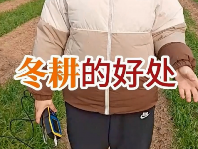 冬耕的好處 ()