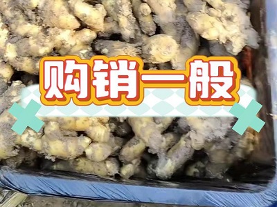 12月17日 安丘黑埠子（購銷一般） ()