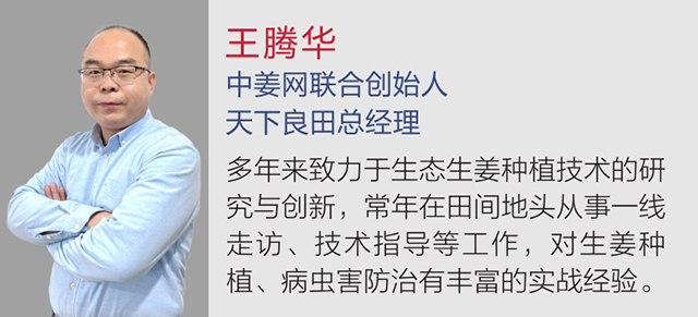 圖片1