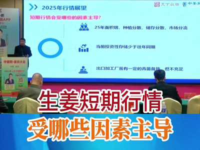 生姜短期行情受哪些因素主導 (170播放)