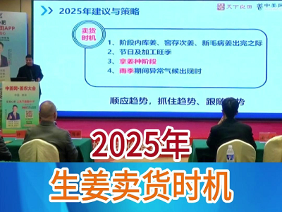 2025年生姜賣貨時機 ()