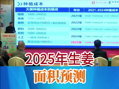 2025年生姜面積預測 ()