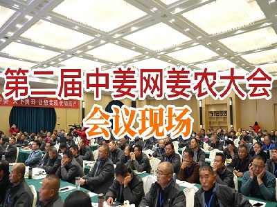 第二屆中姜網姜農大會--會議現場 ()