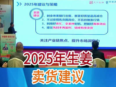 2025年生姜賣貨建議 (190播放)