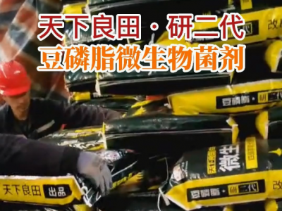 河南姜友團購11噸豆磷脂微生物菌劑緊張發貨中... (245播放)