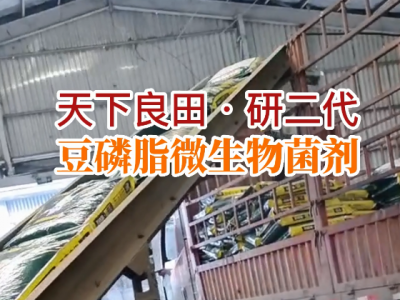 河南姜友團購16.6噸豆磷脂微生物菌劑裝車發貨中 (188播放)
