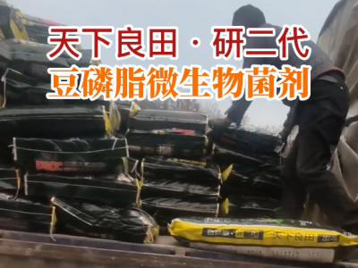湖北姜友團購13噸豆磷脂微生物菌劑配送到家 ()
