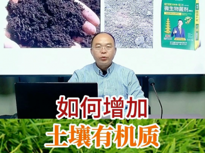 如何增加土壤有機質？ ()