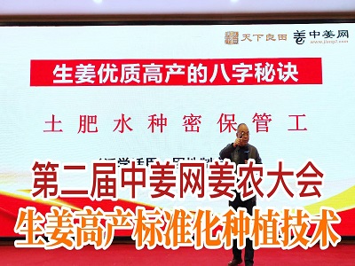 專家講座：生姜高產(chǎn)標(biāo)準(zhǔn)化種植技術(shù) ()