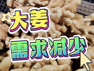 12月30日 生姜價(jià)格行情（大姜需求減少） ()