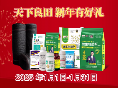 天下良田 新年有好禮 ()