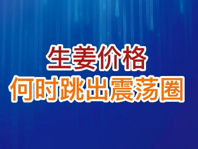 老石說姜：生姜價(jià)格何時(shí)跳出震蕩圈？ ()