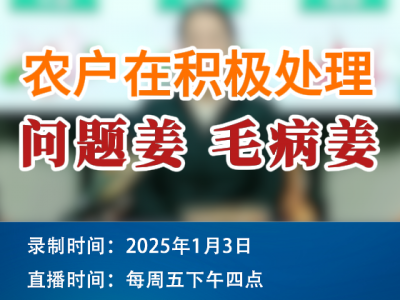 農(nóng)情漫談：農(nóng)戶(hù)在積極處理問(wèn)題姜、毛病姜！ ()