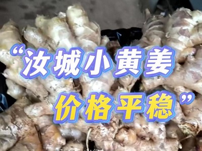 1月8日 生姜價(jià)格行情（汝城小黃姜價(jià)格穩(wěn)） ()