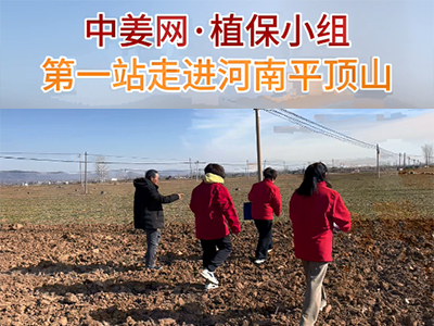 中姜網植保小組走進河南平頂山 ()