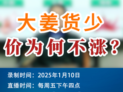 農情漫談：大姜貨少，價為何不漲？ ()