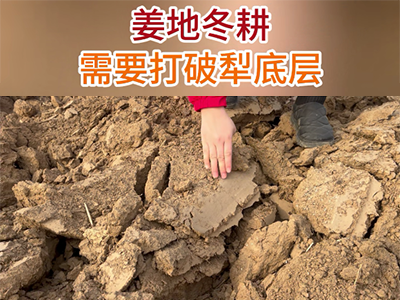 姜地冬耕需要打破犁底層 ()