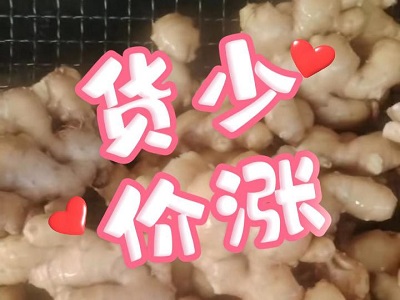 1月10日 生姜價格行情（貨少價漲） ()